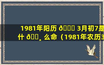 1981年阳历 🕊 3月初7是什 🌸 么命（1981年农历3月初7公历是几月几号）